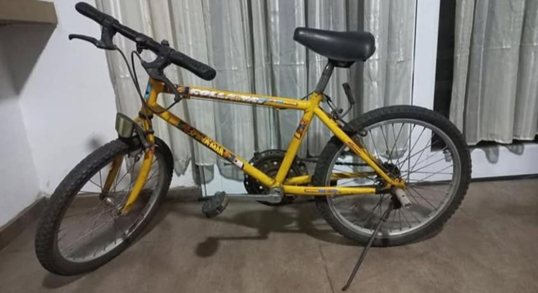 Bicicleta Rodado 20