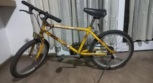 Bicicleta Rodado 20